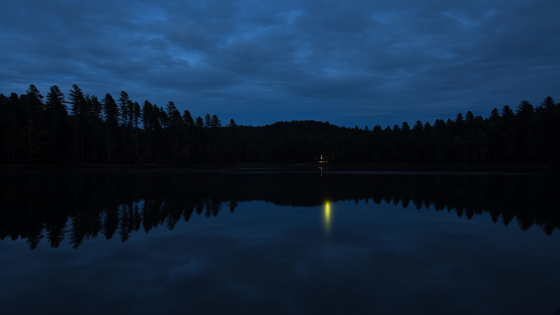 Still water and pines at dusk near Charlotte, North Carolina